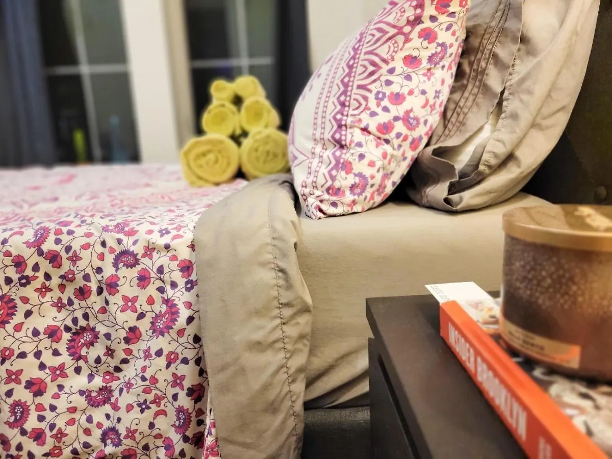 民宿 Private Room In A 4 Big 4 Room Apartament Green Point 纽约